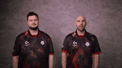 Lmao Seriously GIF by G2 Esports