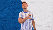 Berlin Nik GIF by Hertha BSC