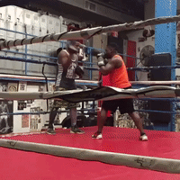 GIF by Klarity