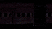 nickelodeon GIF by Teenage Mutant Ninja Turtles
