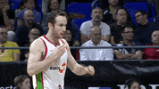 liga endesa basketball GIF by ACB