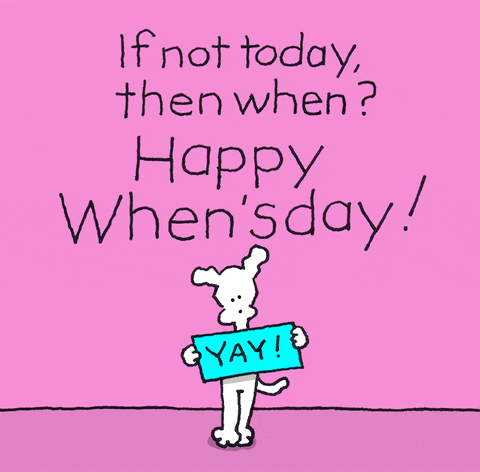 Text gif. Against a bubblegum pink background, a cartoon white dog stands on its hind legs holding a sign that says "Yay!" Above that, black text reads: "If not today, then when? Happy When'sDay!" a play on Wednesday and the word when.