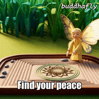 Butterfly Garden GIF by BuddhaFlyJourney