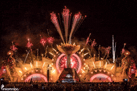 insomniacevents festival music festival edc pyro GIF