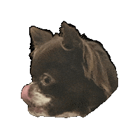 Albie Sticker by Location Location