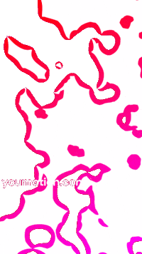 Animation Glowing GIF by youmotion.com