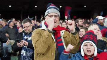 Lets Go Yes GIF by Melbournefc