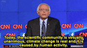 bernie sanders news GIF