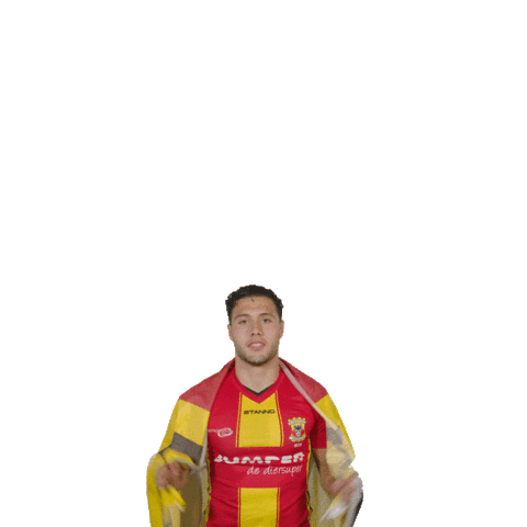 Football Celebrating Sticker by Go Ahead Eagles