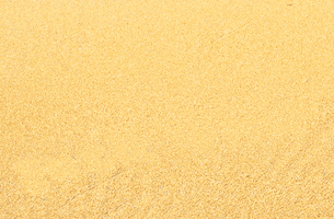 Pop Art GIF by Xinanimodelacra