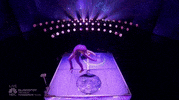 sofie dossi GIF by America's Got Talent