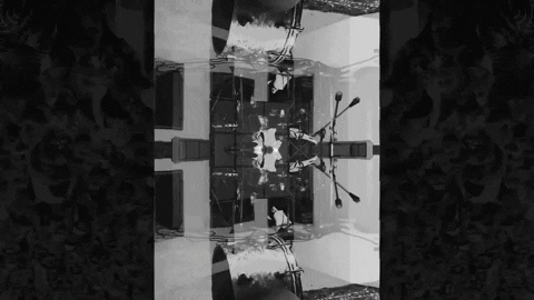 GIF by Local Natives