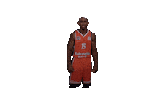 Gameday Reddragons Sticker by bkbasketbol