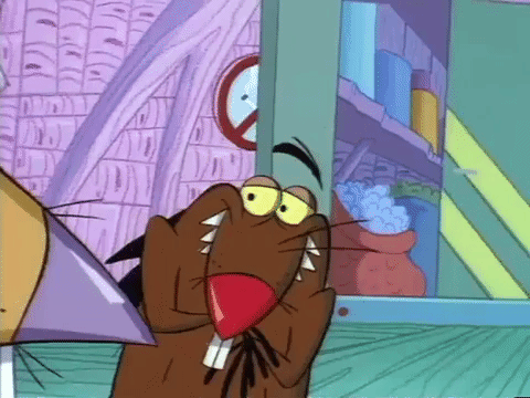 angry beavers nicksplat GIF