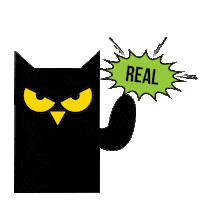 Fun Energy Sticker by GUARANA