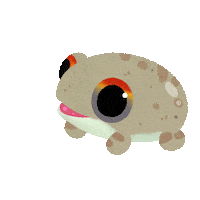 Tree Frog Sticker by pikaole