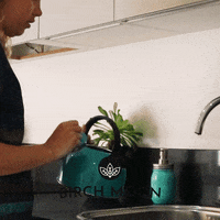 birchmoon tea cup tea time chaga GIF