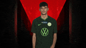 Celebration GIF by Bundesliga