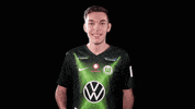 E Sports Sport GIF by VfL Wolfsburg