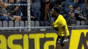 foxsportsnl  GIF