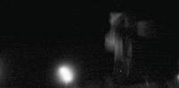 X Ray Fall GIF by Alan