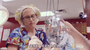 nat geo wild pets GIF by Dr. K's Exotic Animal ER
