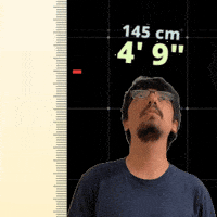4Ft GIF