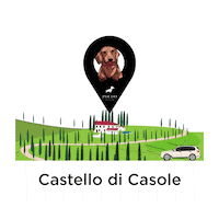 Travel Holiday Sticker by POLDO DOG COUTURE