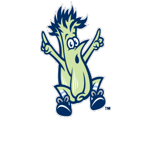 bluerocks giphygifmaker baseball wilmington wilmington blue rocks Sticker