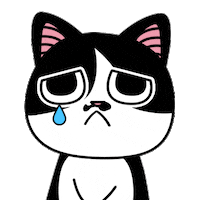 Cat Reaction Sticker