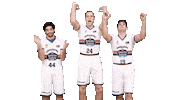 Liga Endesa Basketball Sticker by ACB