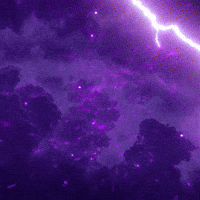 Kolkata Knight Riders Ipl GIF by Knight Riders Sports