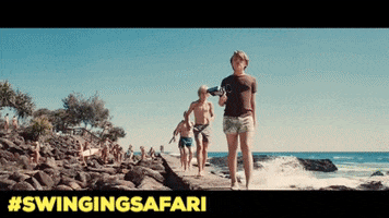 swinging safari film GIF by Blue Fox Entertainment
