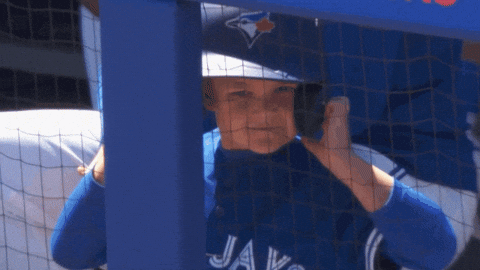 Blue Jays Baseball GIF by Toronto Blue Jays