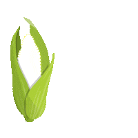 New Holland Tractor Sticker by New Holland Argentina