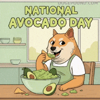 Happy Shiba Inu GIF by Doge Pound