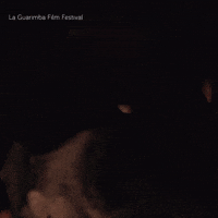Kissing In Love GIF by La Guarimba Film Festival