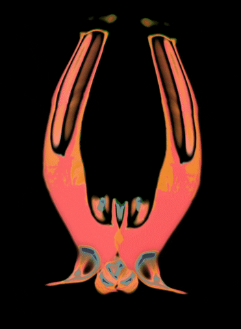 happytype  GIF