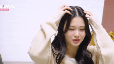 K Pop No GIF