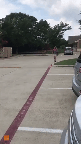 Woman Surprises Twin Sister After Work, Reaction Is Priceless
