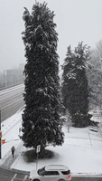 Heavy Snow Obscures Vancouver Views