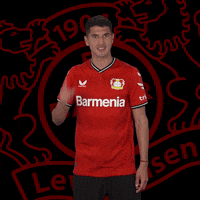 Head Understand GIF by Bayer 04 Leverkusen