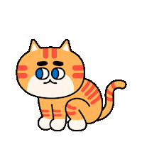 Cat Run Sticker by 궁디팡팡 캣페스타