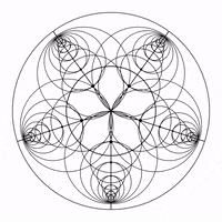 Art Design GIF by xponentialdesign
