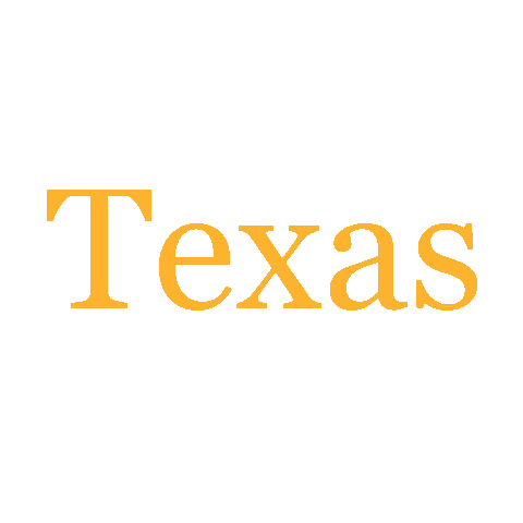 Texas Sticker
