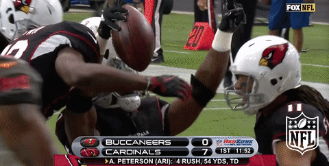 football GIF by NFL