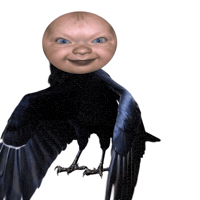 Baby Wtf GIF by POST-WEB