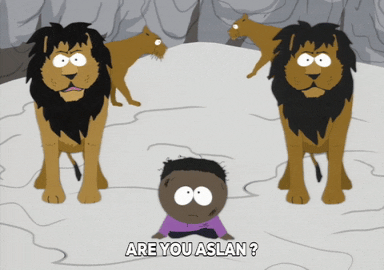 token black lions GIF by South Park 