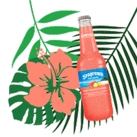Shaved Ice Drinks Sticker by Seagram's Escapes