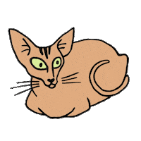 Cat Geegee Sticker